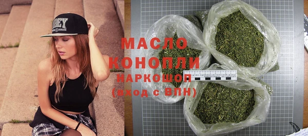 индика Иннополис